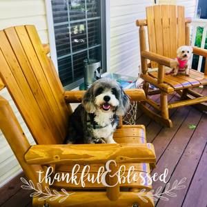 Meet your Posher, Yanira